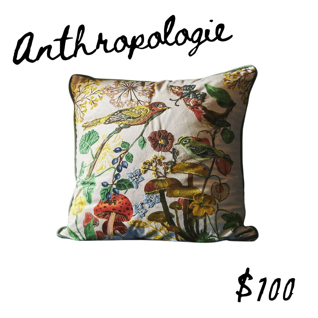 Anthropologie embroidered bird pillow