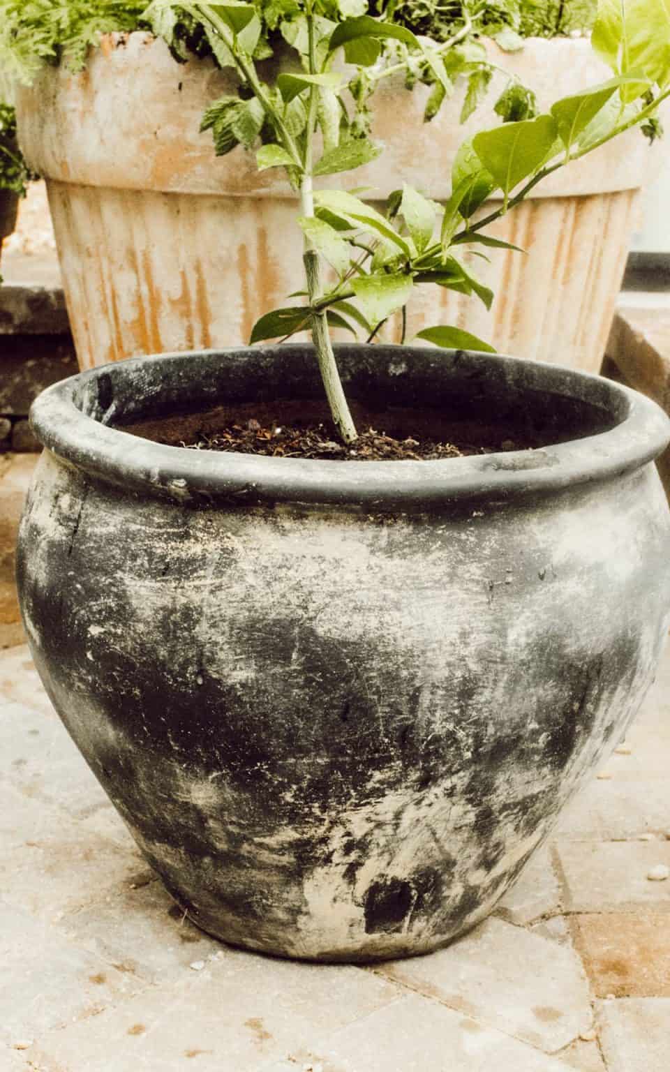 DIY Amber Interiors Vintage Water Pot Lookalike Cassie Jean